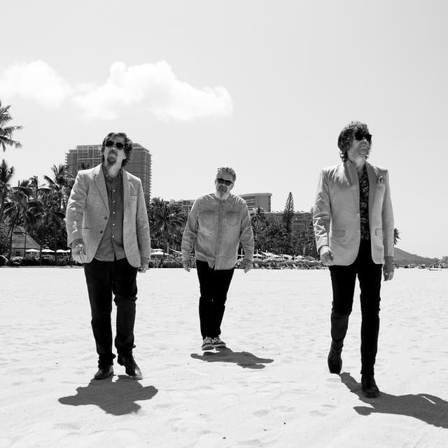 The Mountain Goats