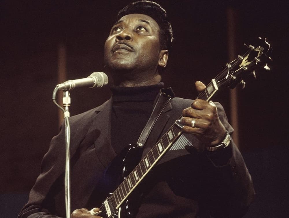 The Muddy Waters Project
